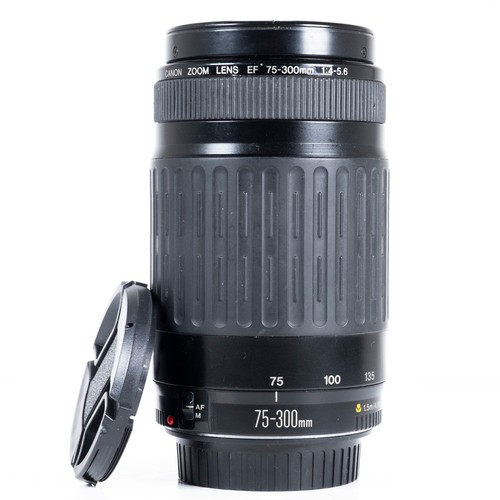 Canon 300mm 5 - canon, f/4.0-5.6