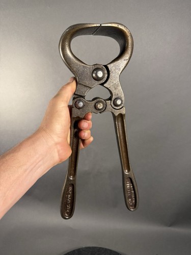 Vintage bull castration tool - bull,
