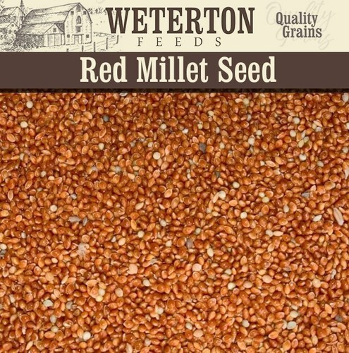 Red and white millet - red, mix