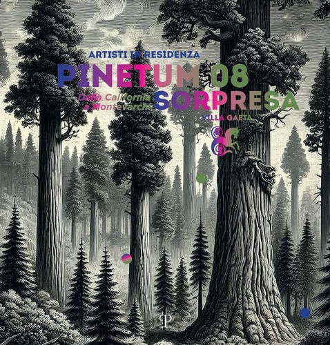 Pinetum 08 sorpresa - aa., 08.