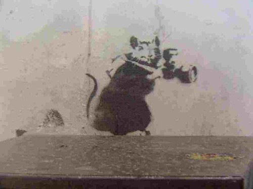 Banksy rat paparazzi - rat,