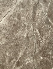 Shower Panels 1000mm Wide x