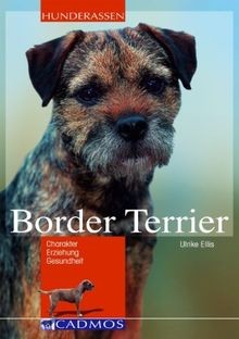 Border terrier charakter - border,