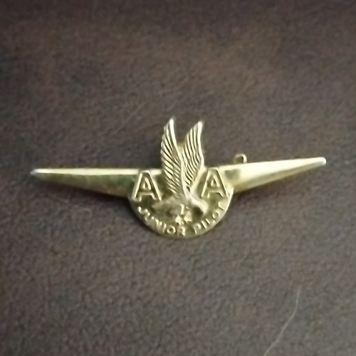 American airline winged - airline,