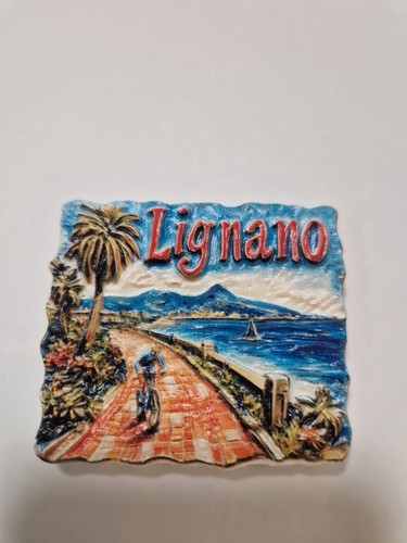 Souvenir fridge magnet - souvenir,