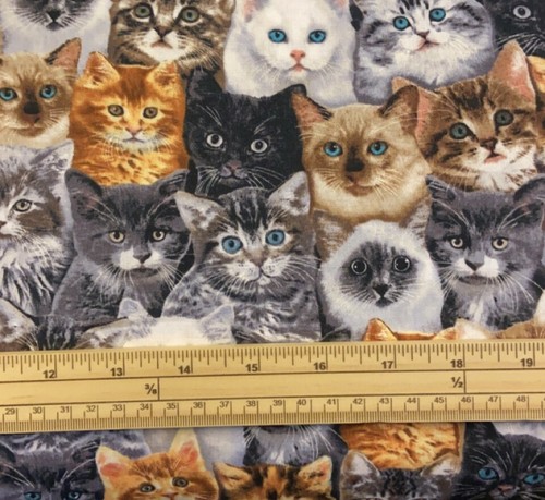 Fat quarter stacked cats - fat,