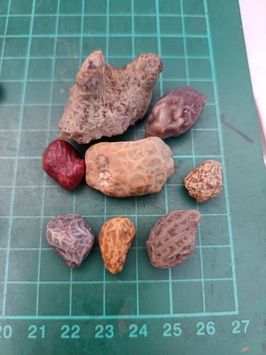 Gobi tendon vein agate - gobi,