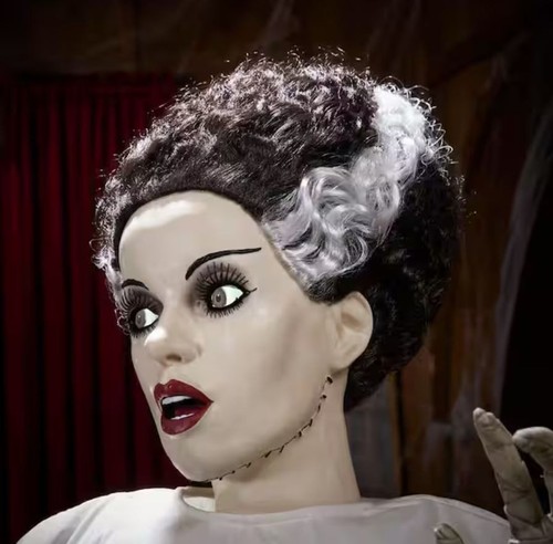 Animated led bride - animated,