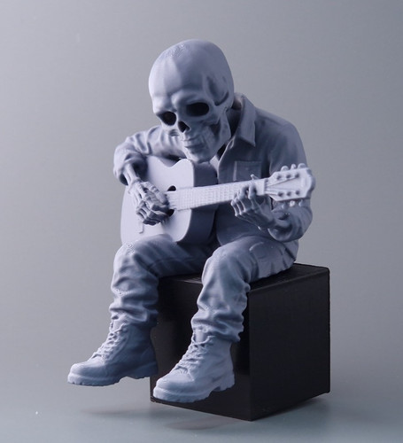 Guitar player skeleton shelf - guitar,