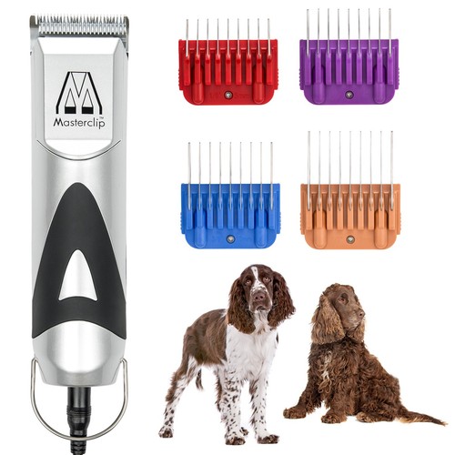 Professional springer spaniel - professional,