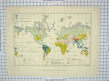 Original Old Antique Print World Map Principal Types Vegetation Distribution