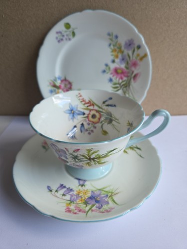 Shelley bone china wild - bone,