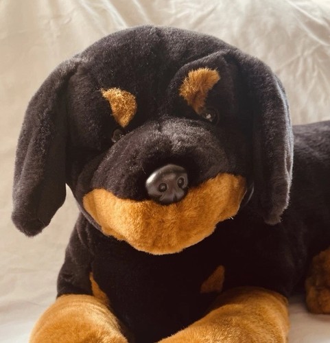 Rottweiler black tan - black,