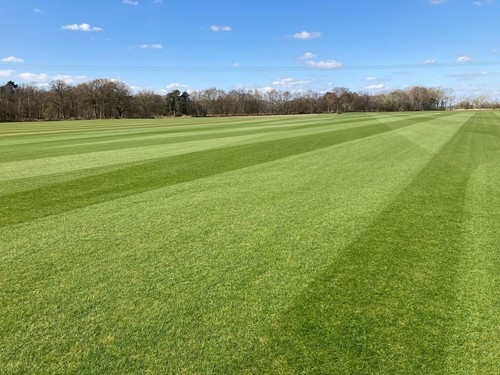Rolls lawn turf directly - rolls,