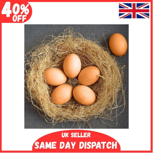 12x fake plastic - fake, eggs