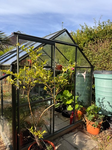 Greenhouse - , glass)