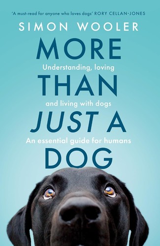 More than just - more, dog