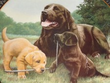 Lovely Franklin Mint Labrador