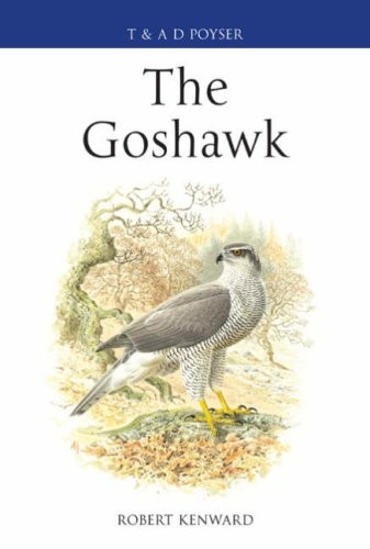 The goshawk poyser - goshawk, (poyser