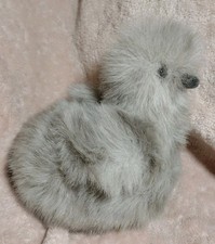 Douglas Plush Silkie Chicken