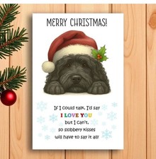 Bouvier des Flandres Christmas