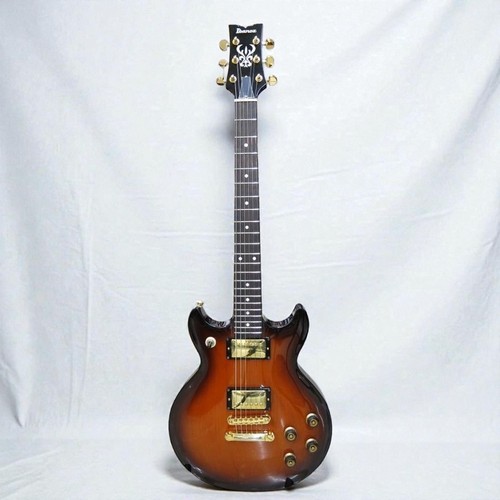 Ibanez electric guitar - ibanez,