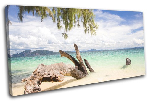 Driftwood modern thailand - driftwood,