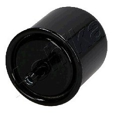 ASHIKA 30-01-111 Fuel filter