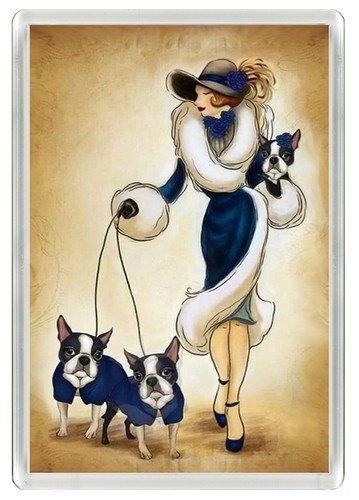 Boston terrier dog fridge - boston,