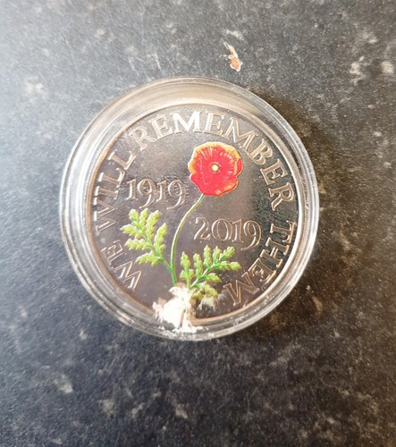 2019 remembrance day poppy - 2019, £5