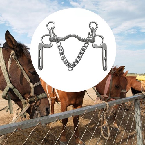 Horse bit stallion training - horse,