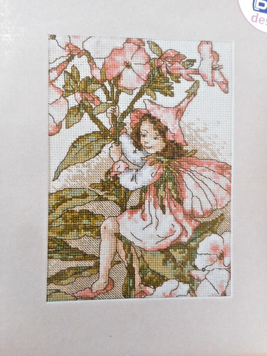 Phlox fairy flower fairies - phlox,