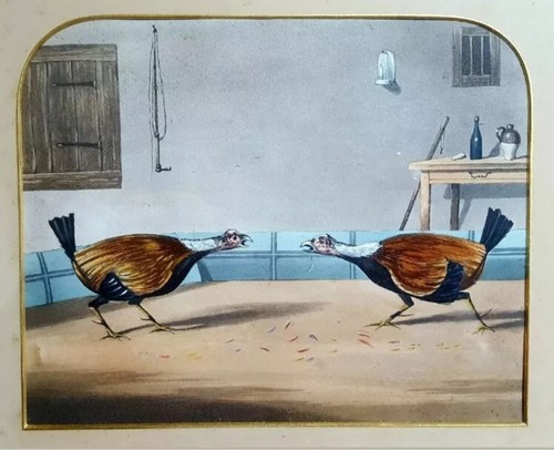 Set antique hand coloured - set,