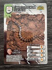 Giant Scolopendra Centipede