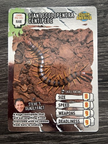 Giant scolopendra centipede - giant,
