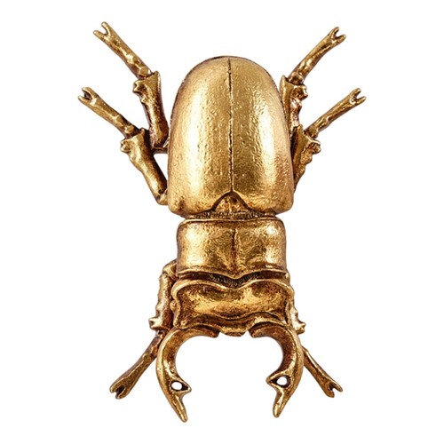Gold stag beetle - stag, wall
