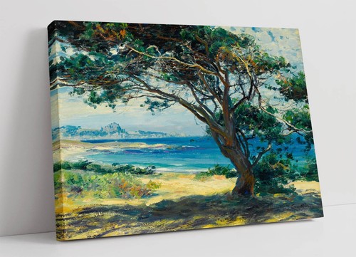 Wind swept pines - pines, rose-