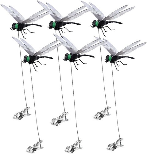 Pack dragonfly clip 3d - 6,