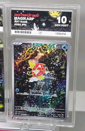 Japanese magikarp 080 - japanese, ace