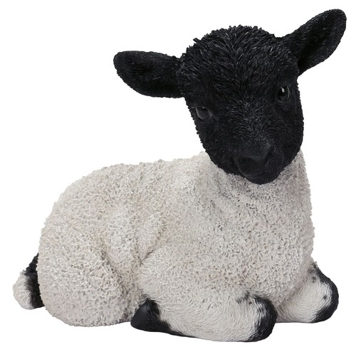 Vivid arts blackface - vivid, lamb