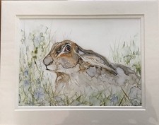 Hare Rabbit A4 Print Signed