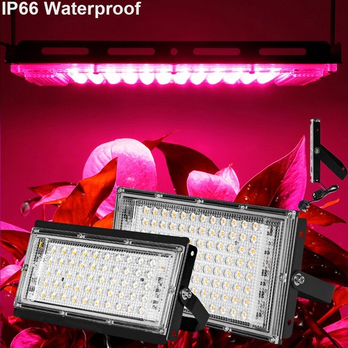50w 100w led full spectrum - led,