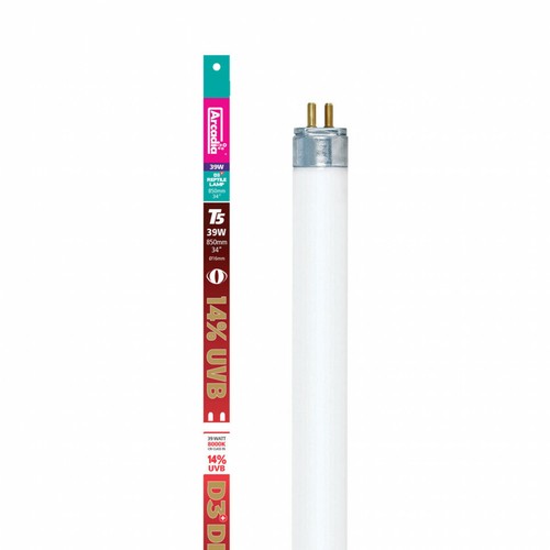 Inch arcadia 14 uvb - 34",