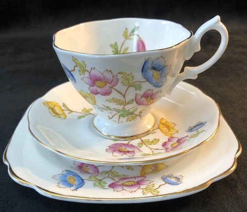 Royal albert anemone - royal, “anemone”