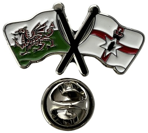 Wales northern ireland pin - wales,