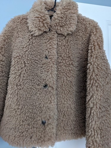 Bnwt collared teddy bear - teddy,