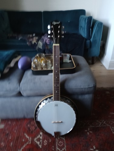 Ozark string banjo guitar - ozark,