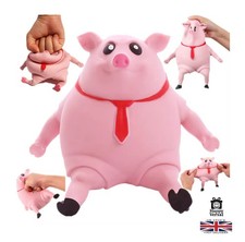 Funny Squishy Pig Toy –