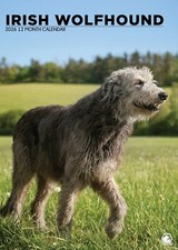 Irish Wolfhound Calendar 2026