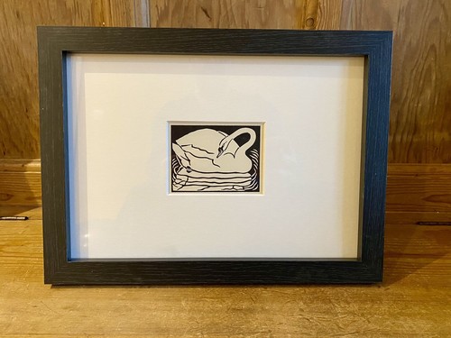 Mute swan framed - swan’-,